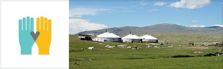 Study of the UN Volunteers Program in Mongolia