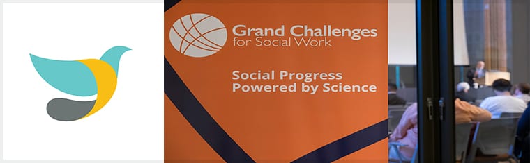 Leading the ‘Promote Smart Decarceration’ Grand Challenge